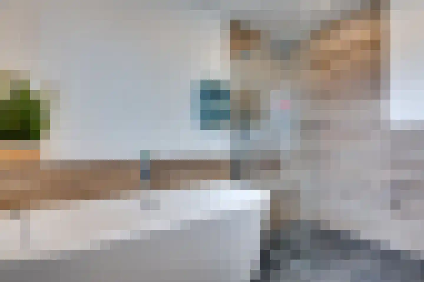 Lange Hout 22 Assen thumbnail 34