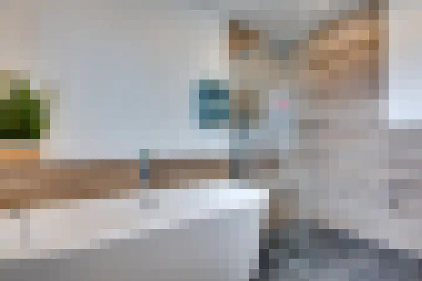 Lange Hout 22 Assen thumbnail 34