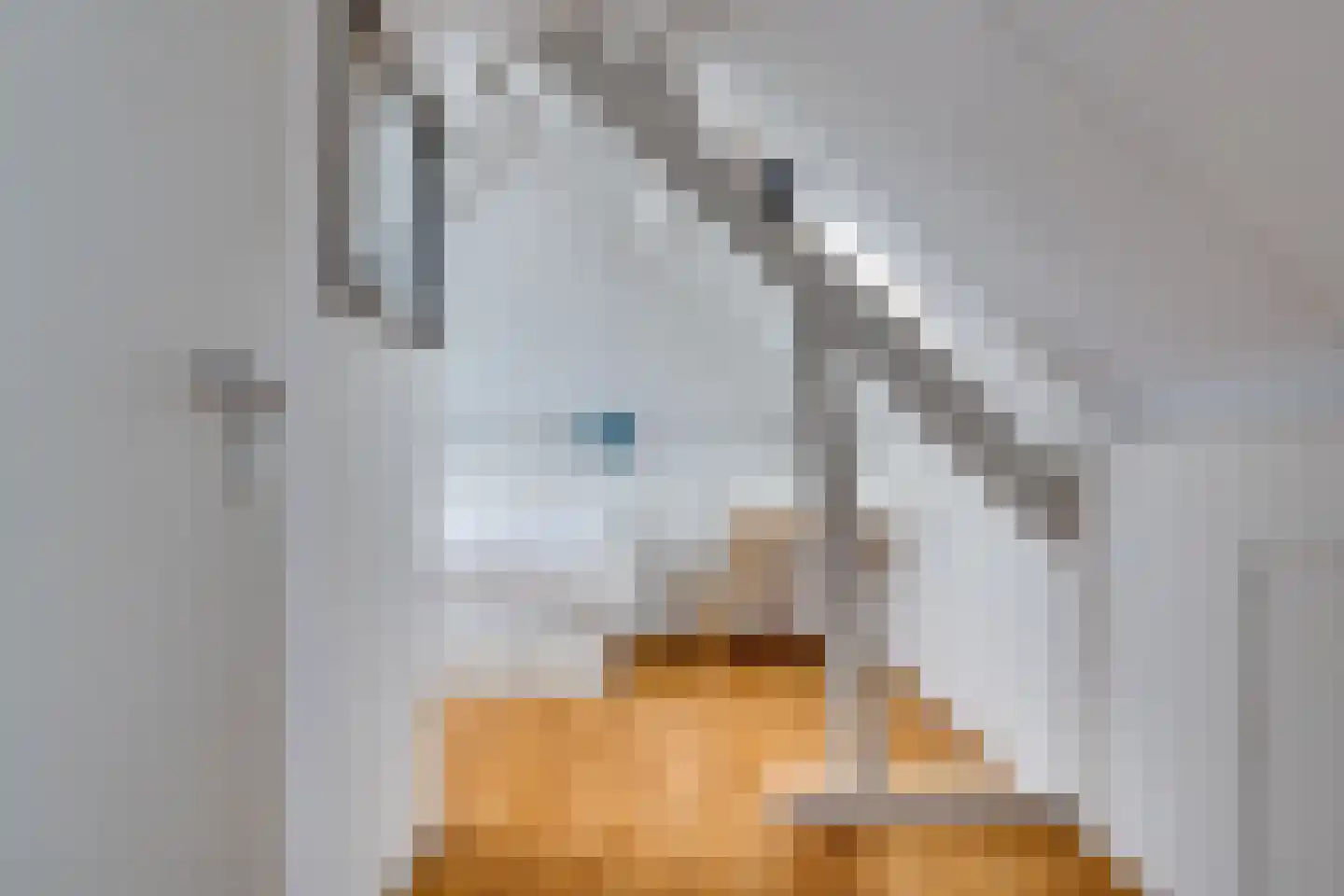 Lange Hout 22 Assen thumbnail 38