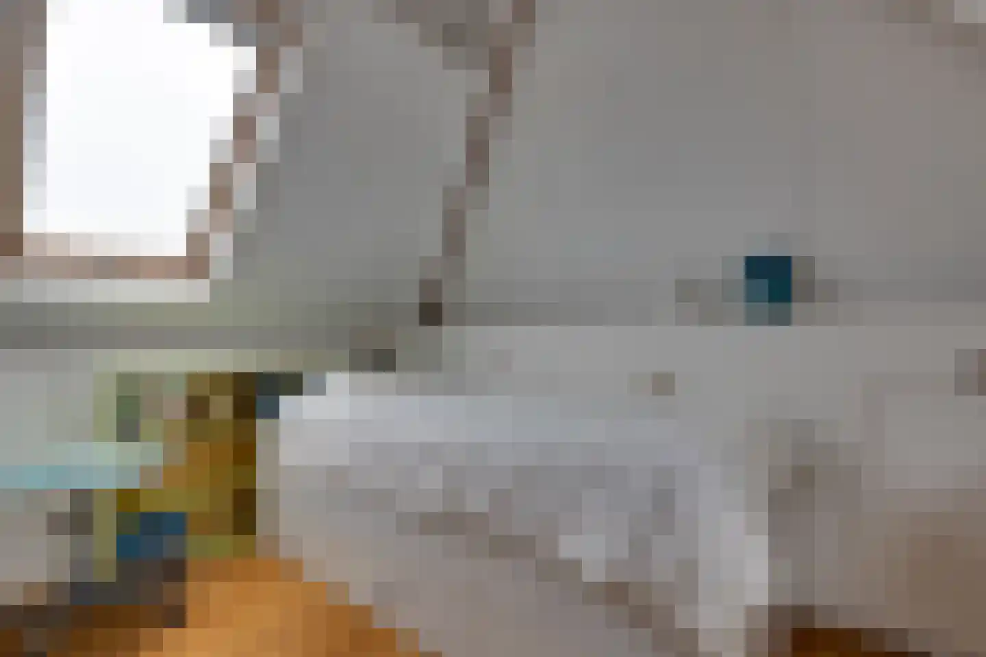 Lange Hout 22 Assen thumbnail 39