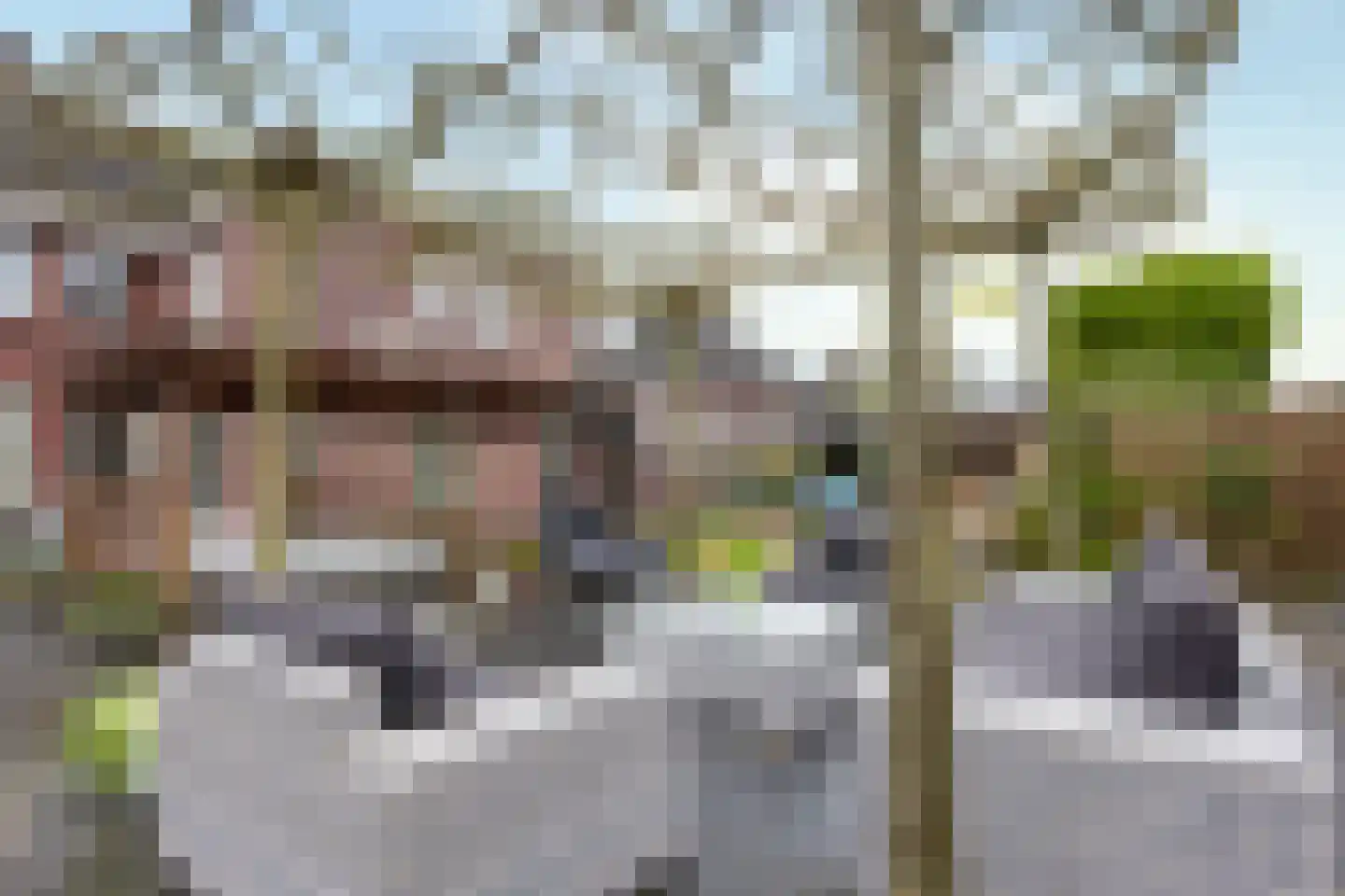 Lange Hout 22 Assen thumbnail 44