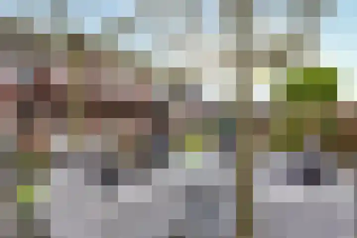 Lange Hout 22 Assen thumbnail 45