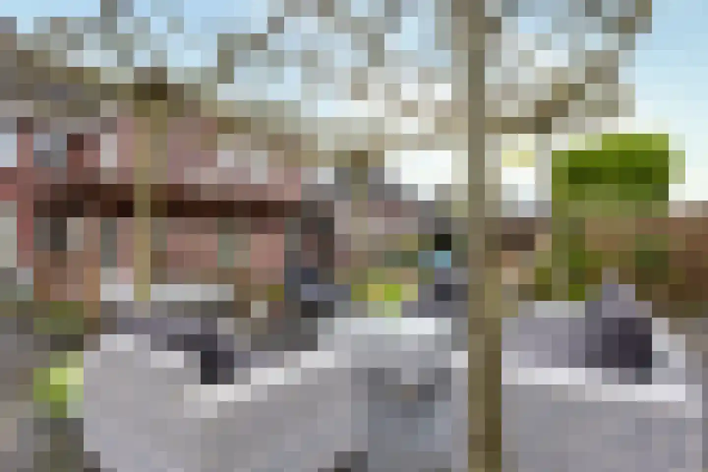 Lange Hout 22 Assen thumbnail 45
