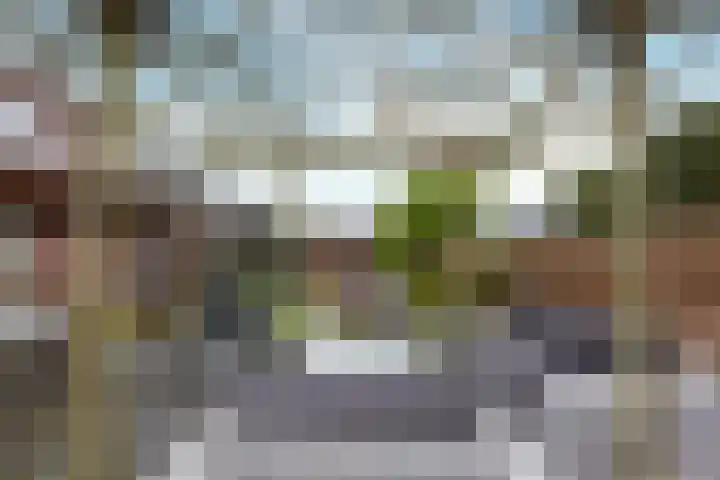 Lange Hout 22 Assen thumbnail 46