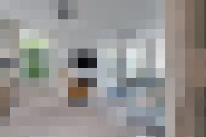 Lange Hout 22 Assen thumbnail 5