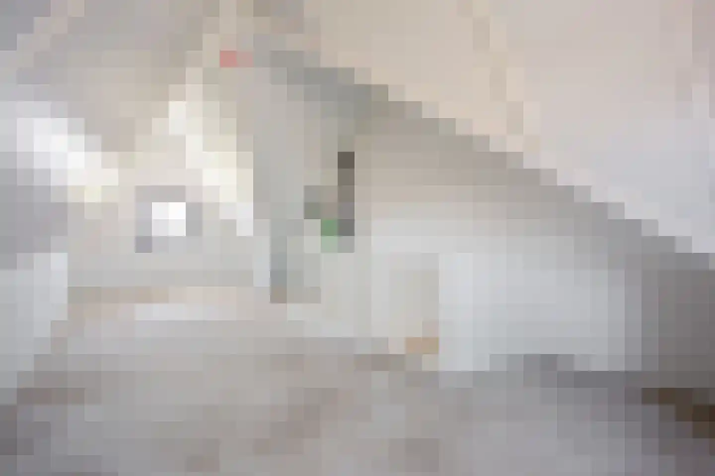 Lange Jaap 46 Zeewolde thumbnail 33