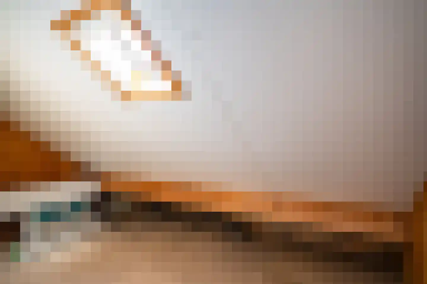 Lange Jacht 23 Tollebeek thumbnail 35