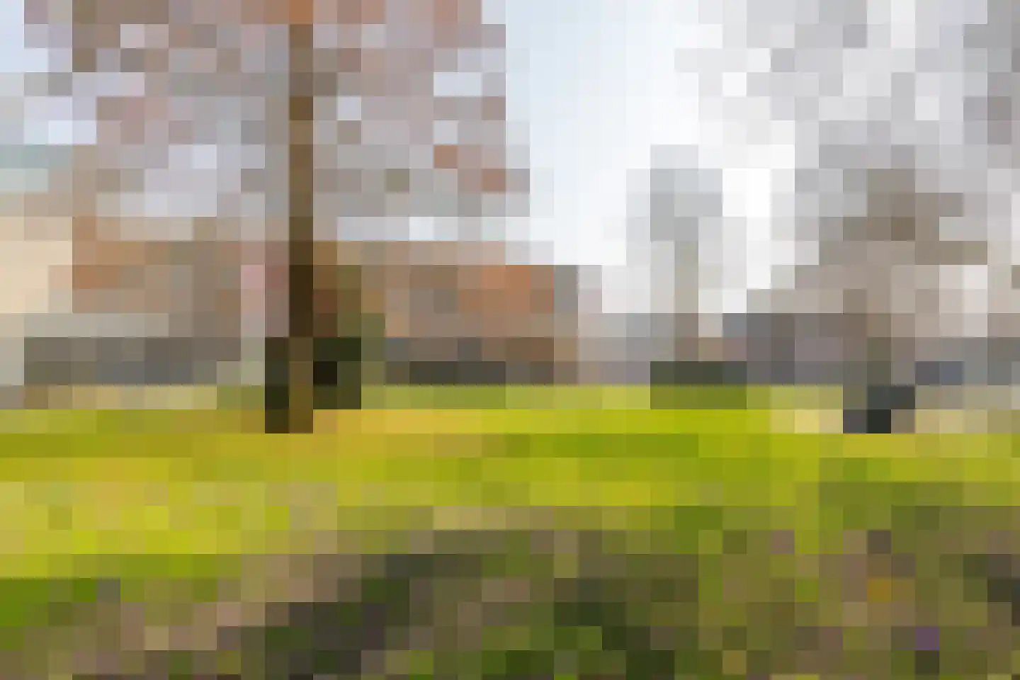 Lange Jufferstraat 38 Utrecht thumbnail 25
