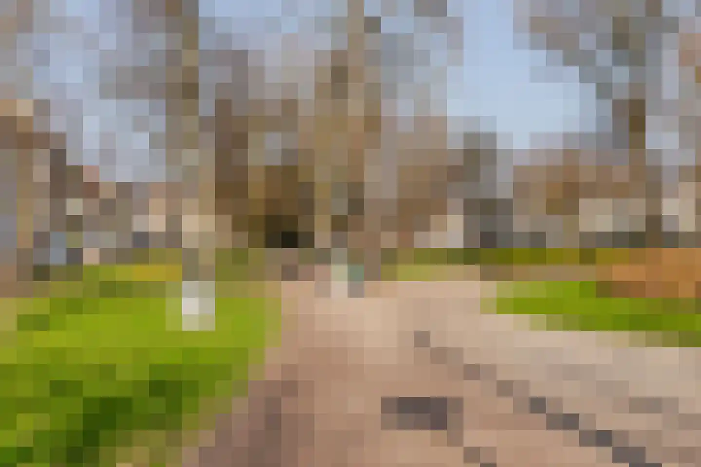 Lange Jufferstraat 38 Utrecht thumbnail 26
