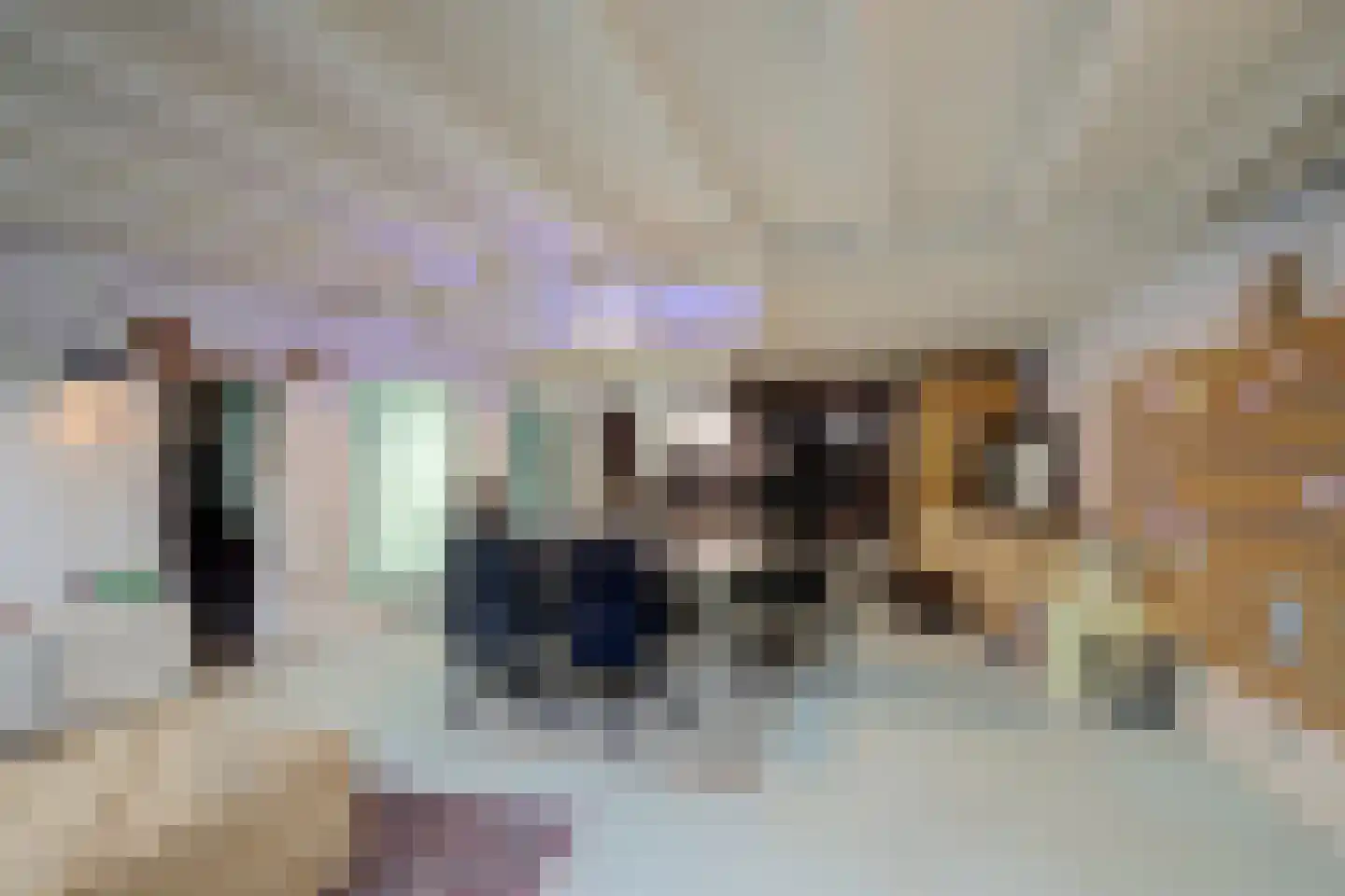 Lange Jufferstraat 52 Utrecht thumbnail 10
