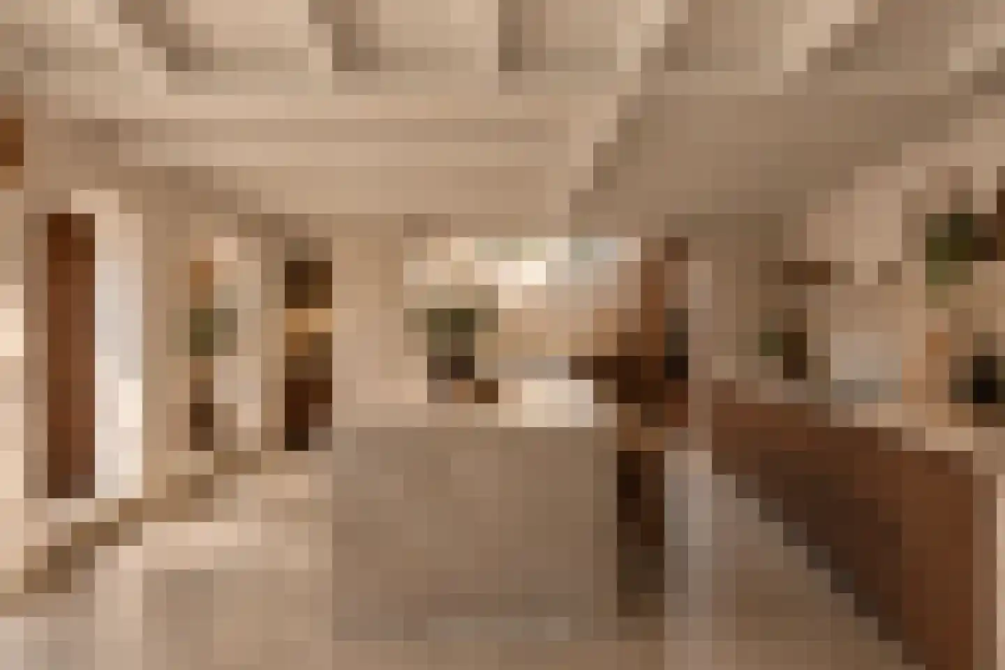 Lange Jufferstraat 52 Utrecht thumbnail 11