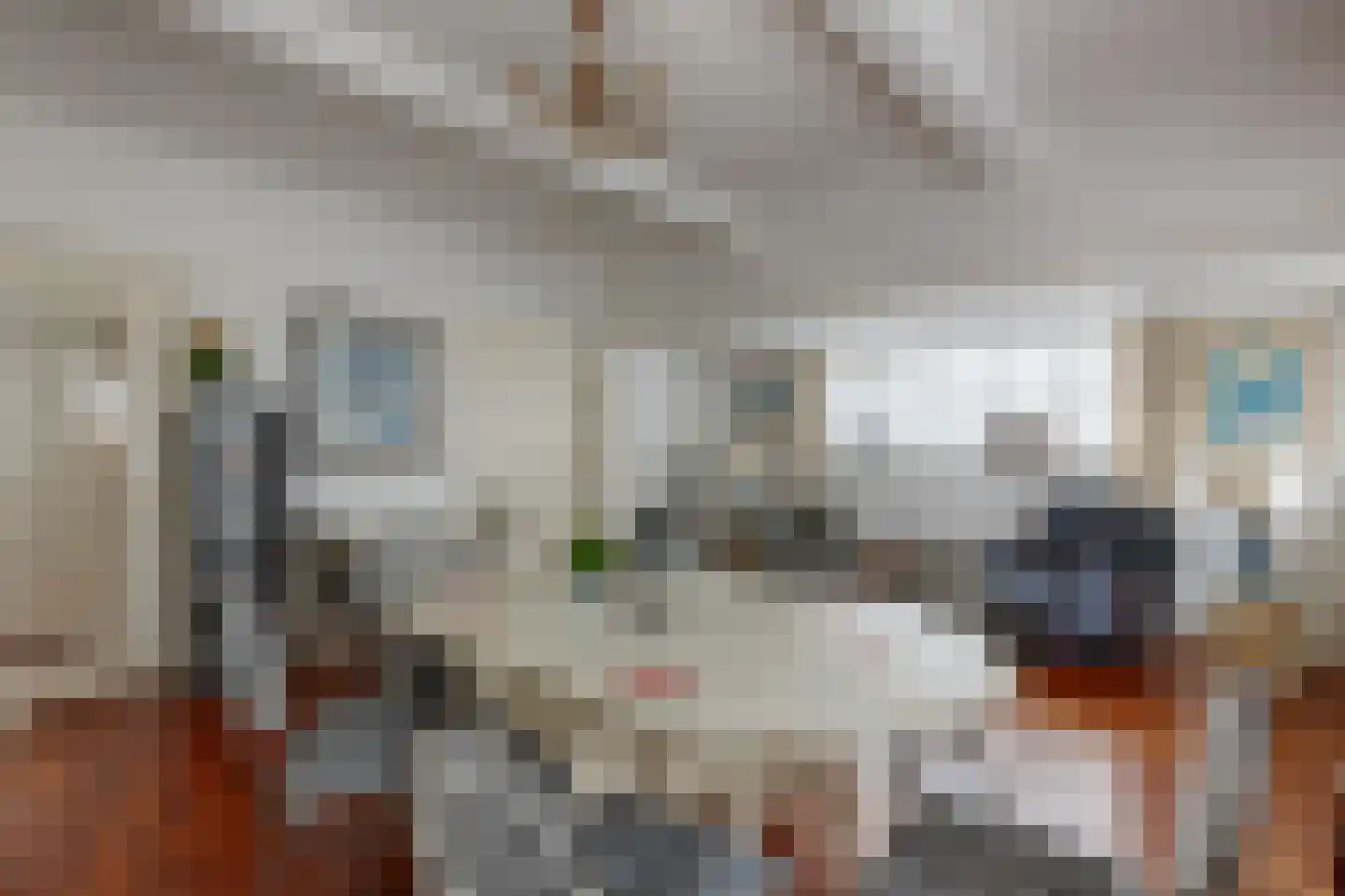 Lange Kerkdam 100 Wassenaar thumbnail 10