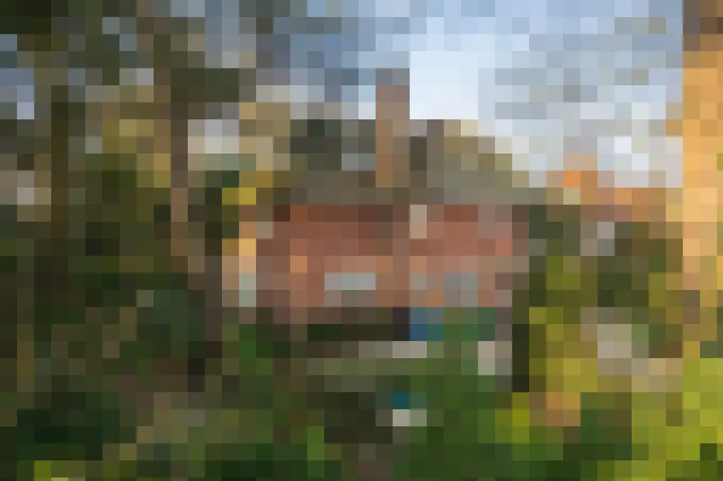 Lange Kerkdam 100 Wassenaar thumbnail 15