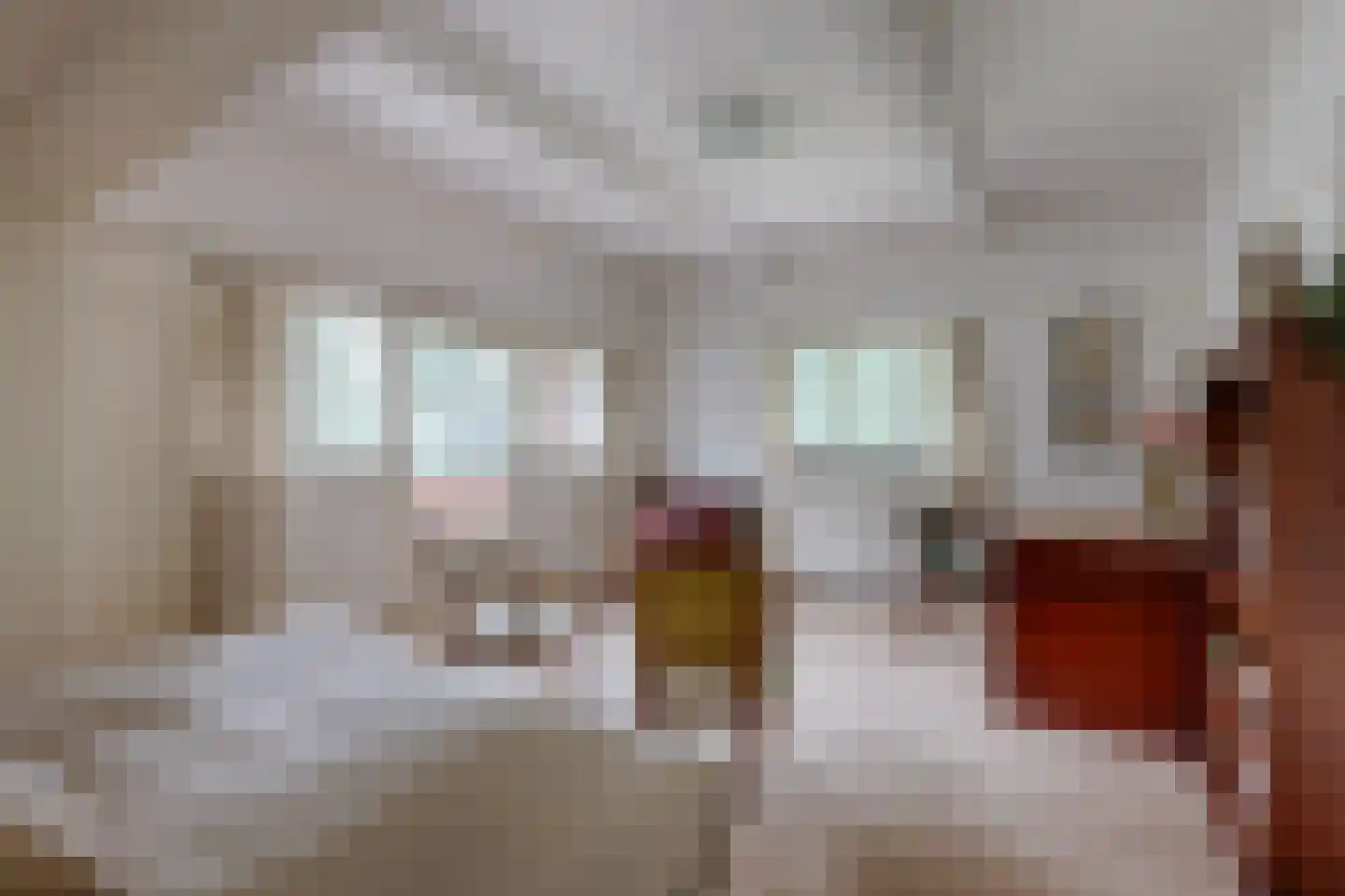 Lange Kerkdam 100 Wassenaar thumbnail 18