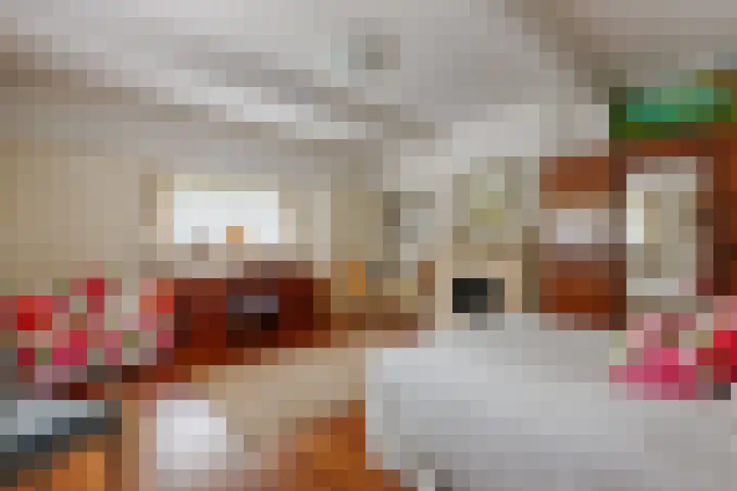 Lange Kerkdam 100 Wassenaar thumbnail 20