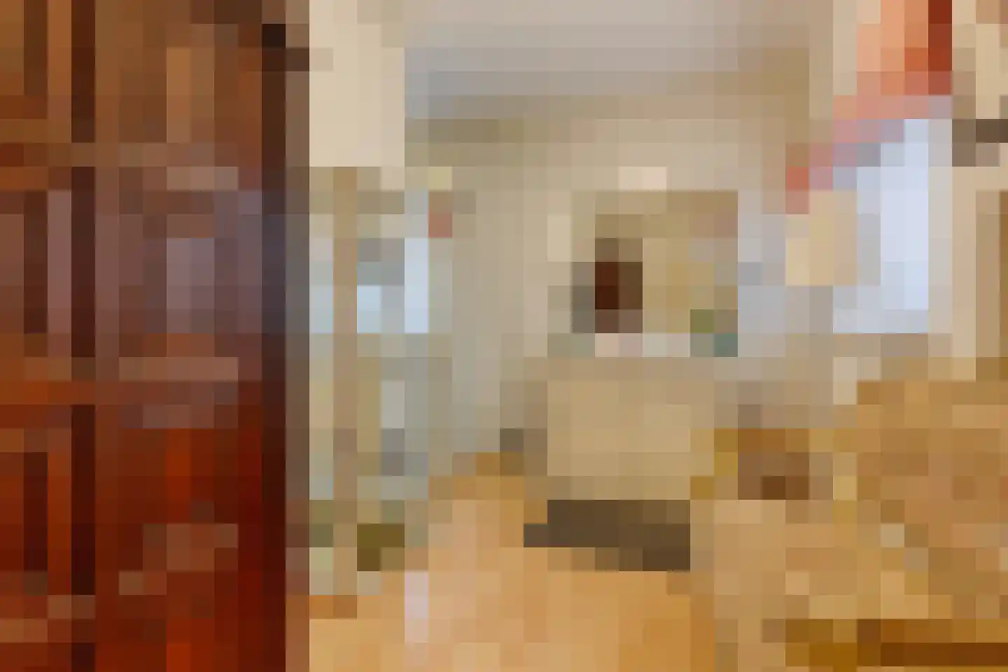 Lange Kerkdam 100 Wassenaar thumbnail 22