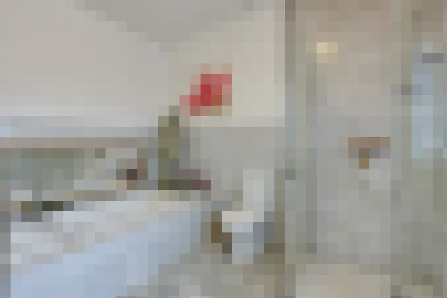 Lange Kerkdam 100 Wassenaar thumbnail 23