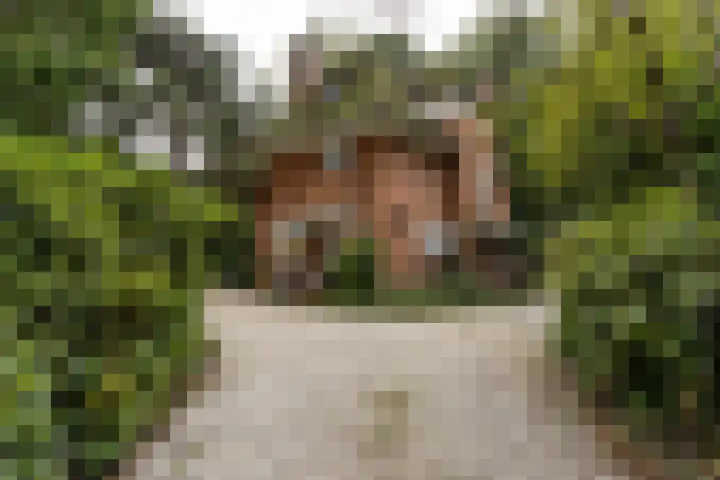 Lange Kerkdam 100 Wassenaar thumbnail 31