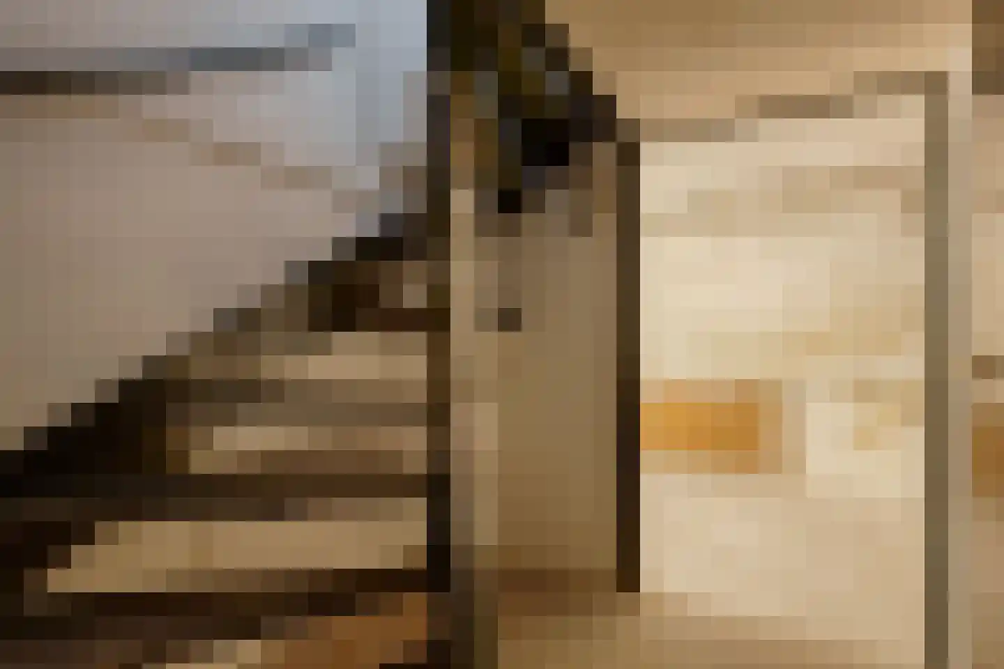 Lange Kerkdam 100 Wassenaar thumbnail 32