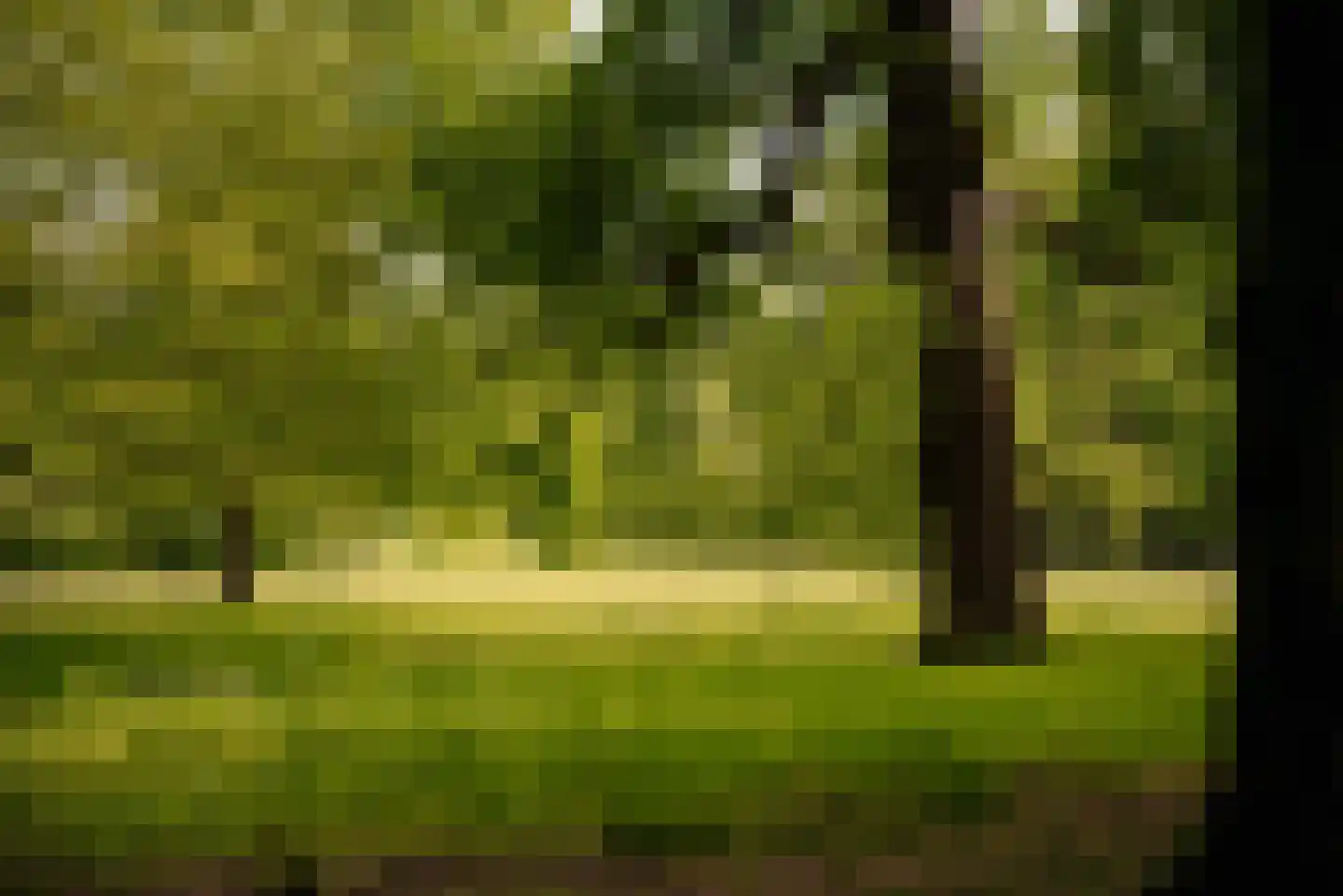 Lange Kerkdam 100 Wassenaar thumbnail 33