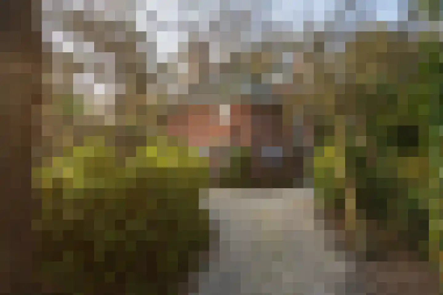 Lange Kerkdam 100 Wassenaar thumbnail 33
