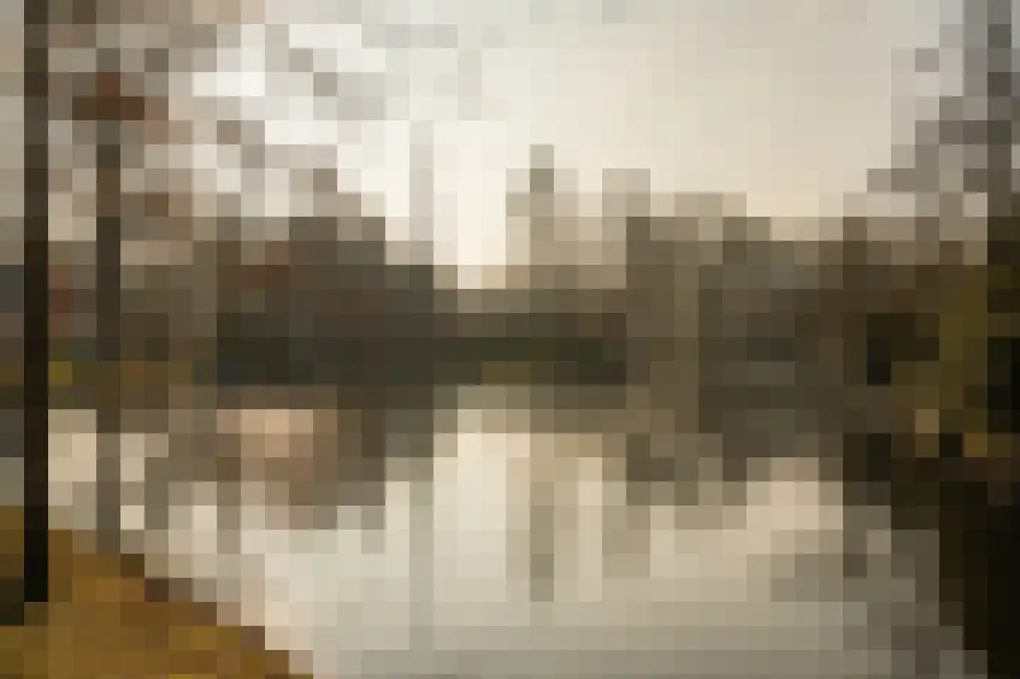Lange Kerkdam 100 Wassenaar thumbnail 35
