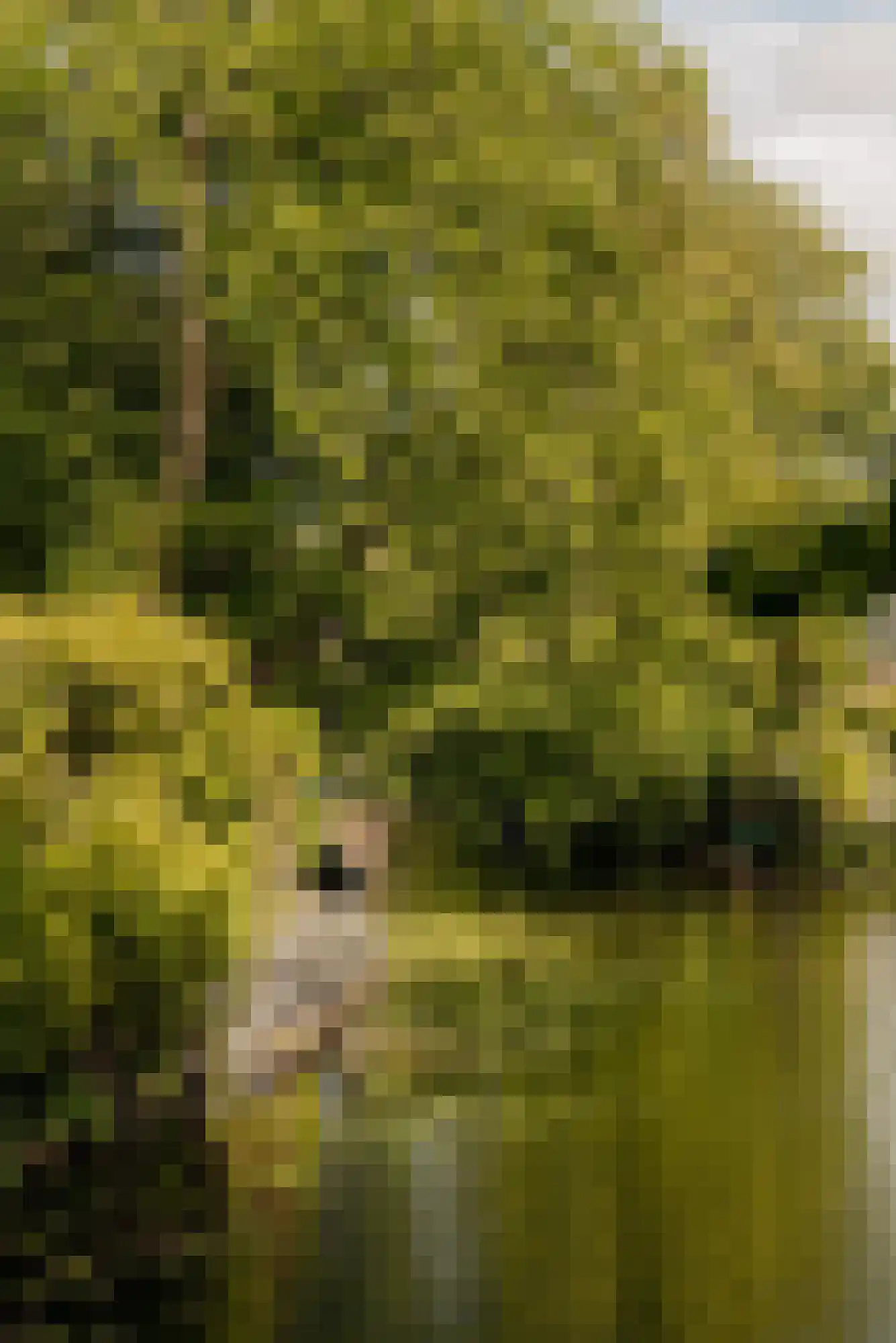Lange Kerkdam 100 Wassenaar thumbnail 35