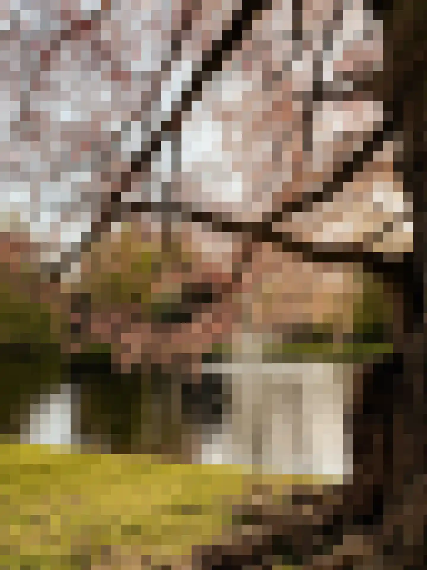 Lange Kerkdam 100 Wassenaar thumbnail 36