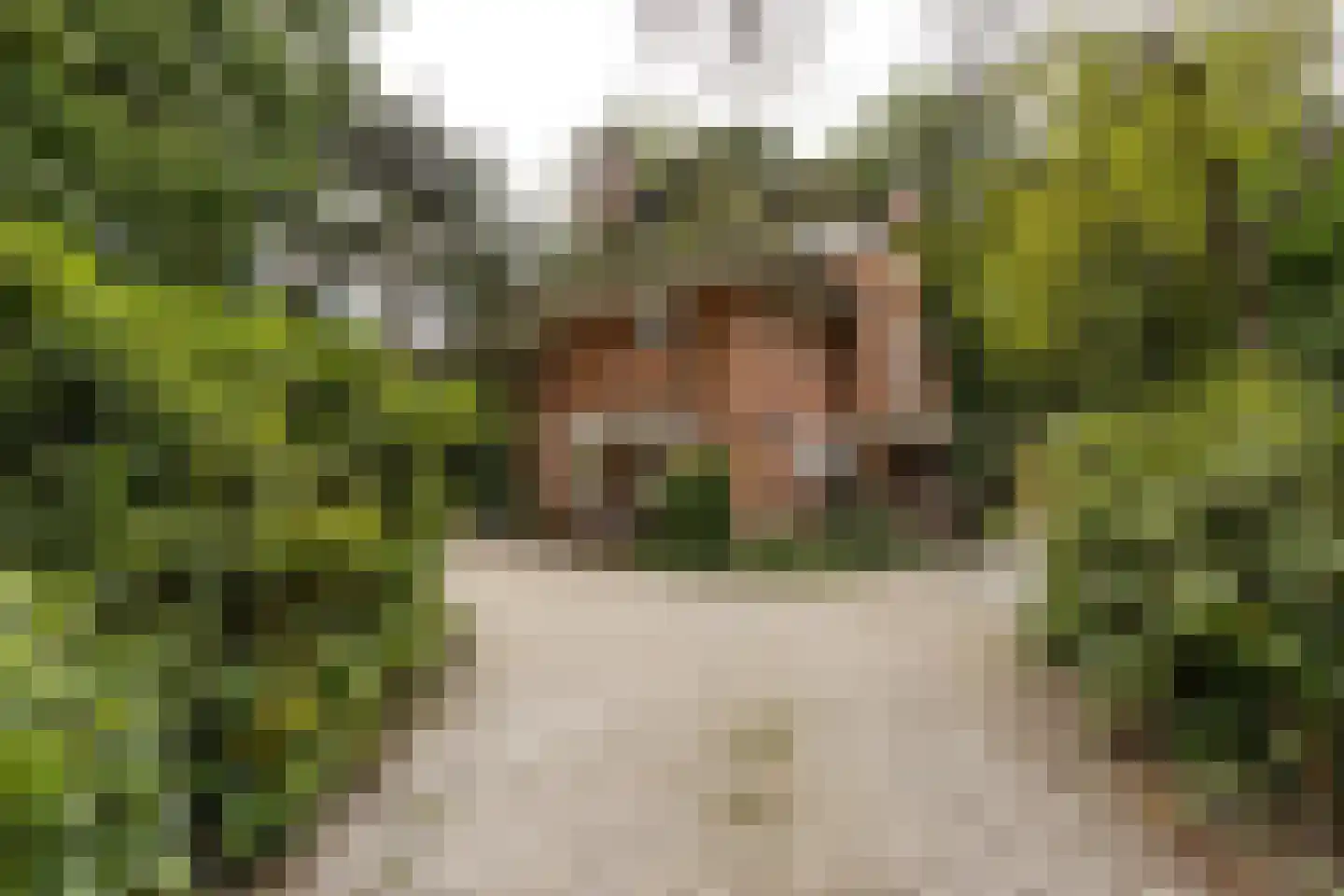 Lange Kerkdam 100 Wassenaar thumbnail 4