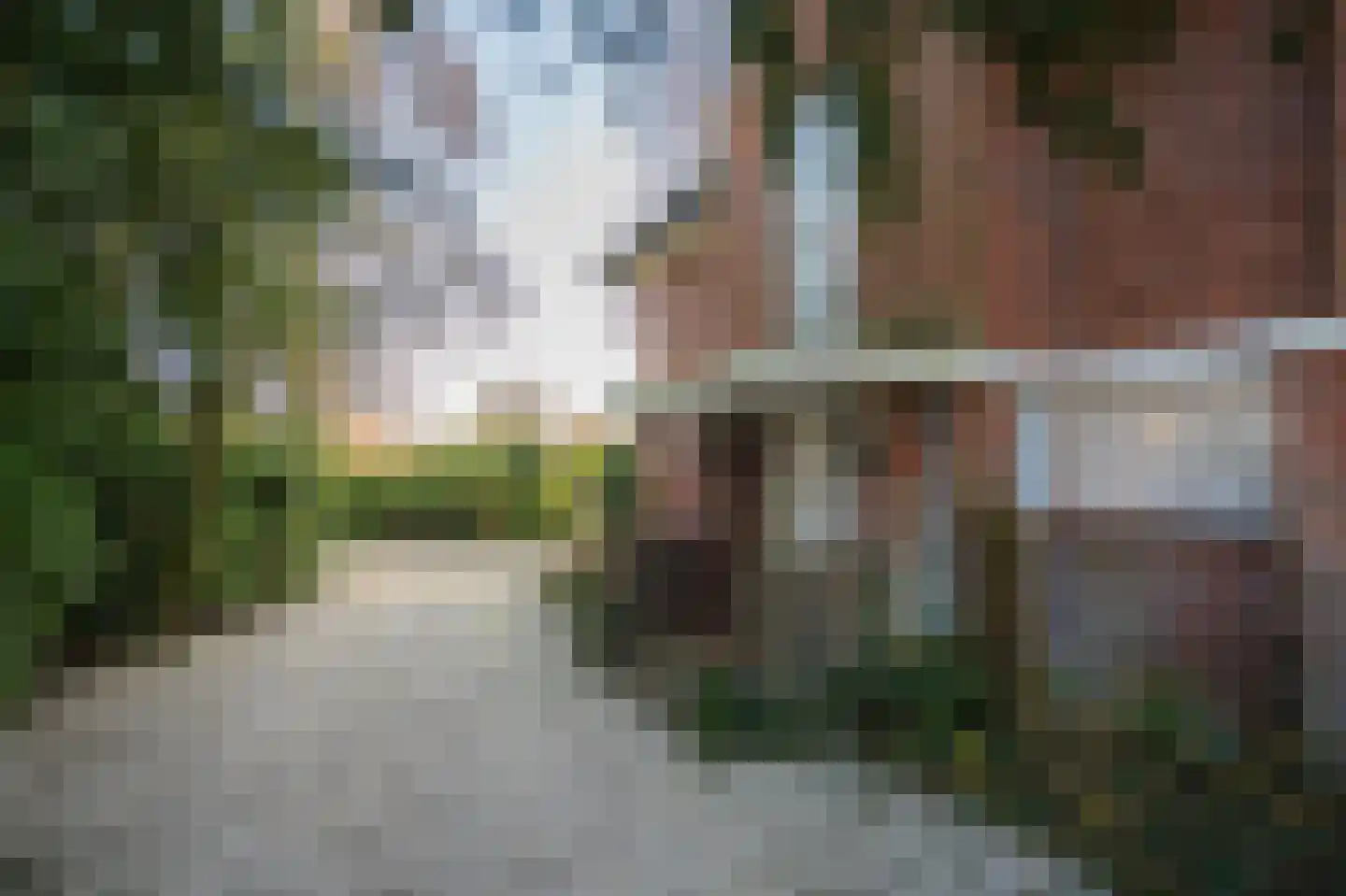 Lange Kerkdam 100 Wassenaar thumbnail 4