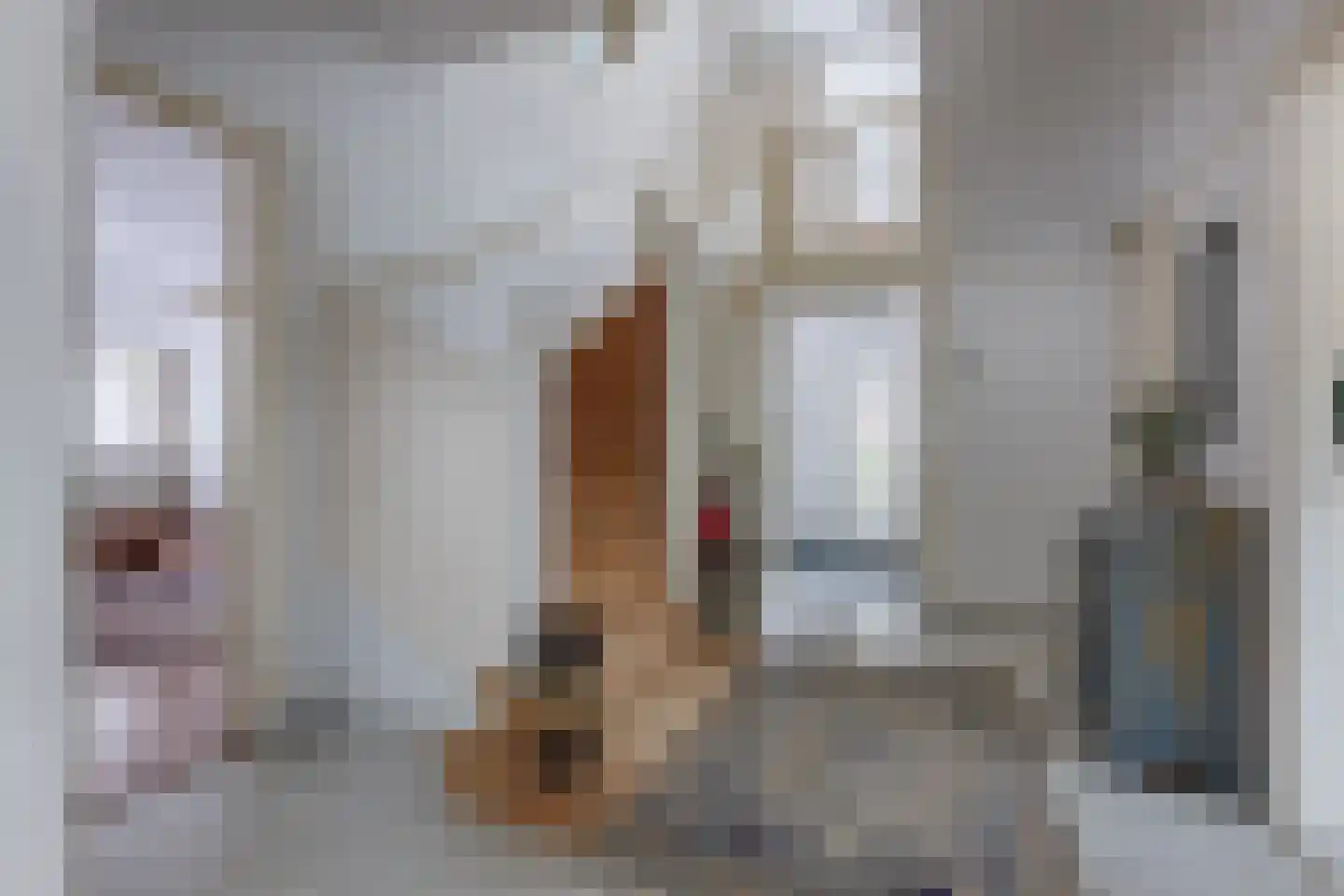 Lange Kerkdam 100 Wassenaar thumbnail 6
