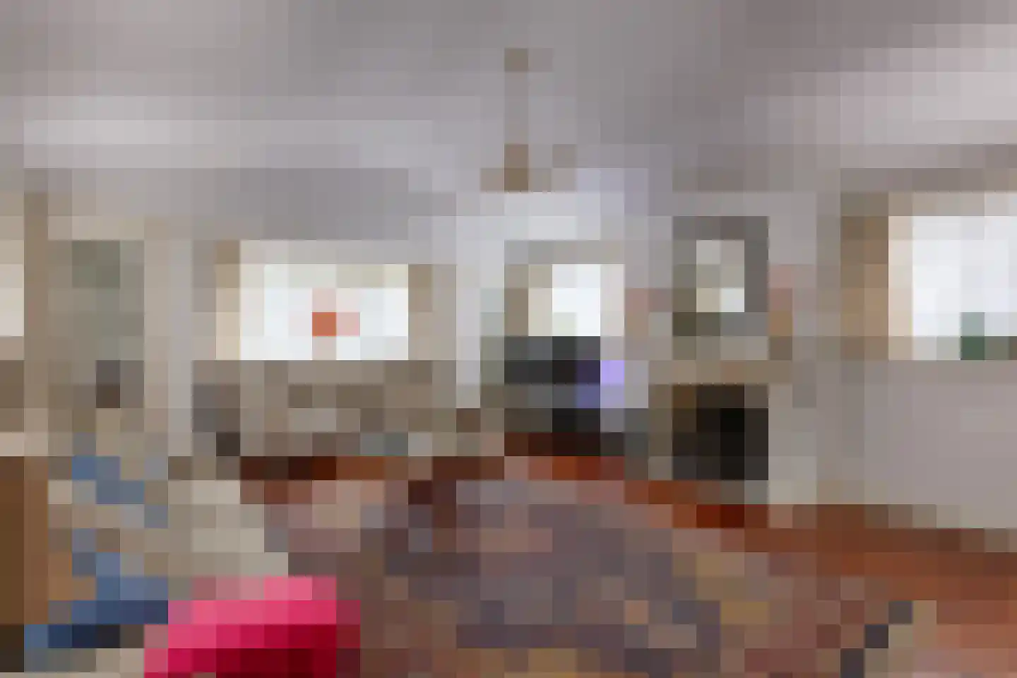Lange Kerkdam 100 Wassenaar thumbnail 7