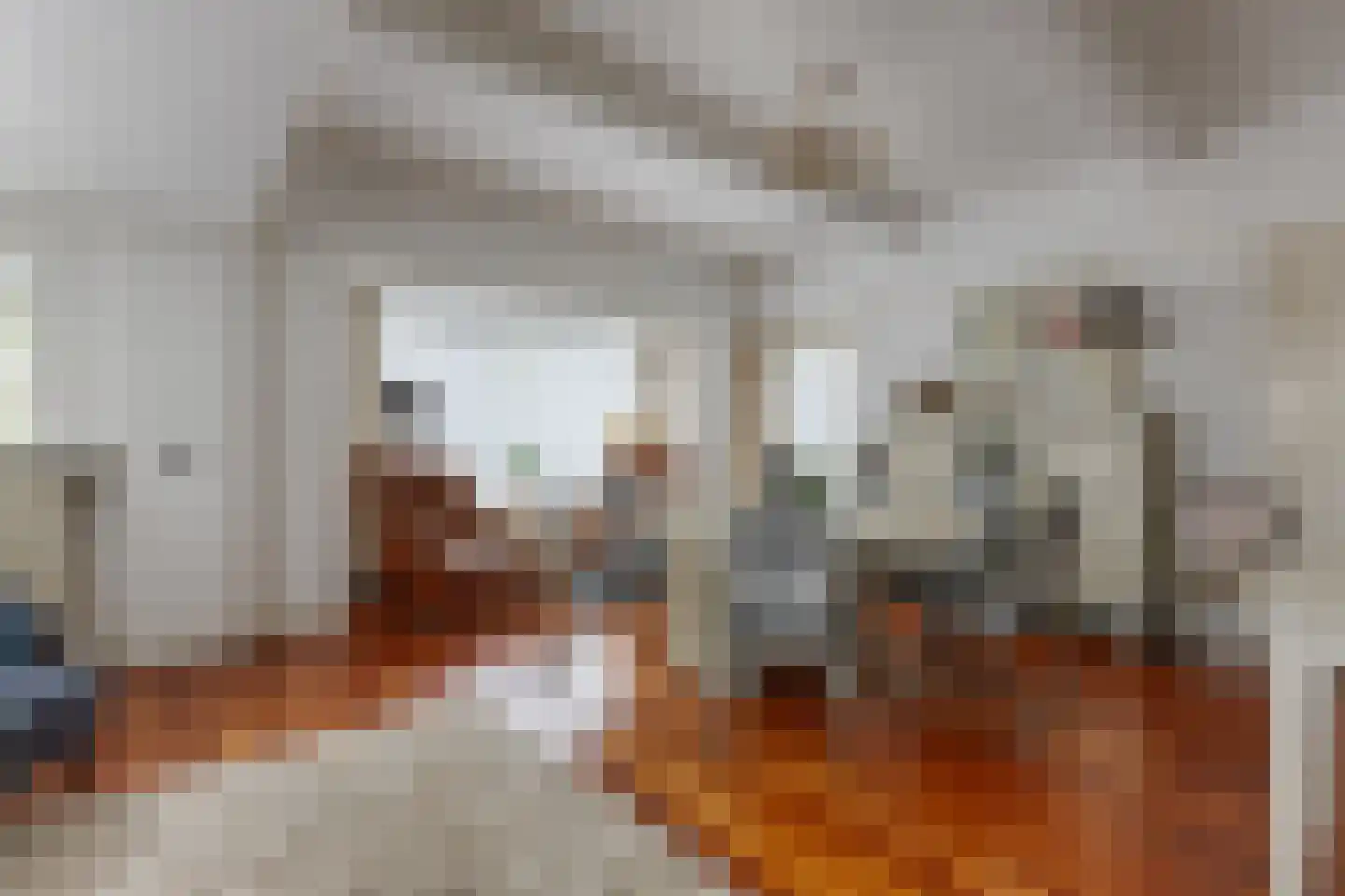 Lange Kerkdam 100 Wassenaar thumbnail 9