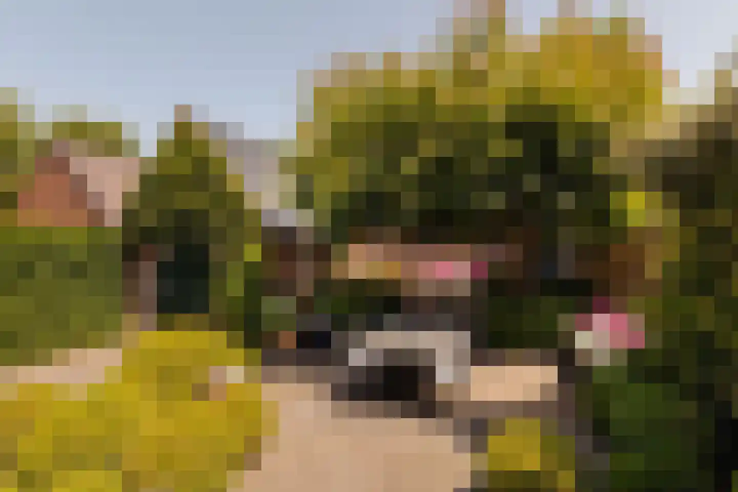 Lange Kerkdam 25 Wassenaar thumbnail 18