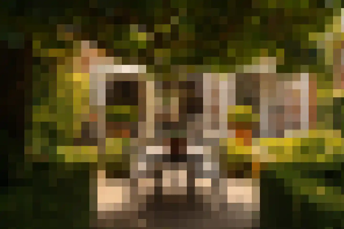 Lange Kerkdam 25 Wassenaar thumbnail 20