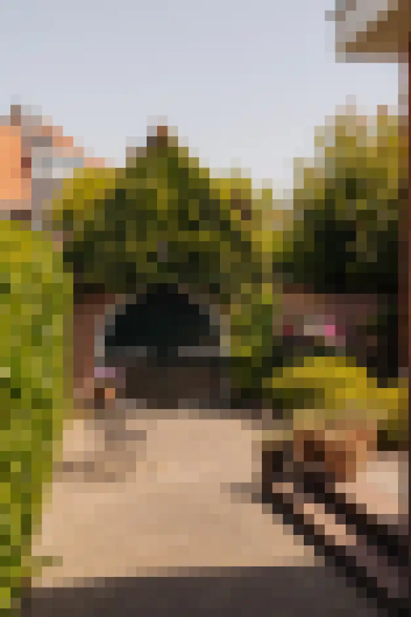 Lange Kerkdam 25 Wassenaar thumbnail 22