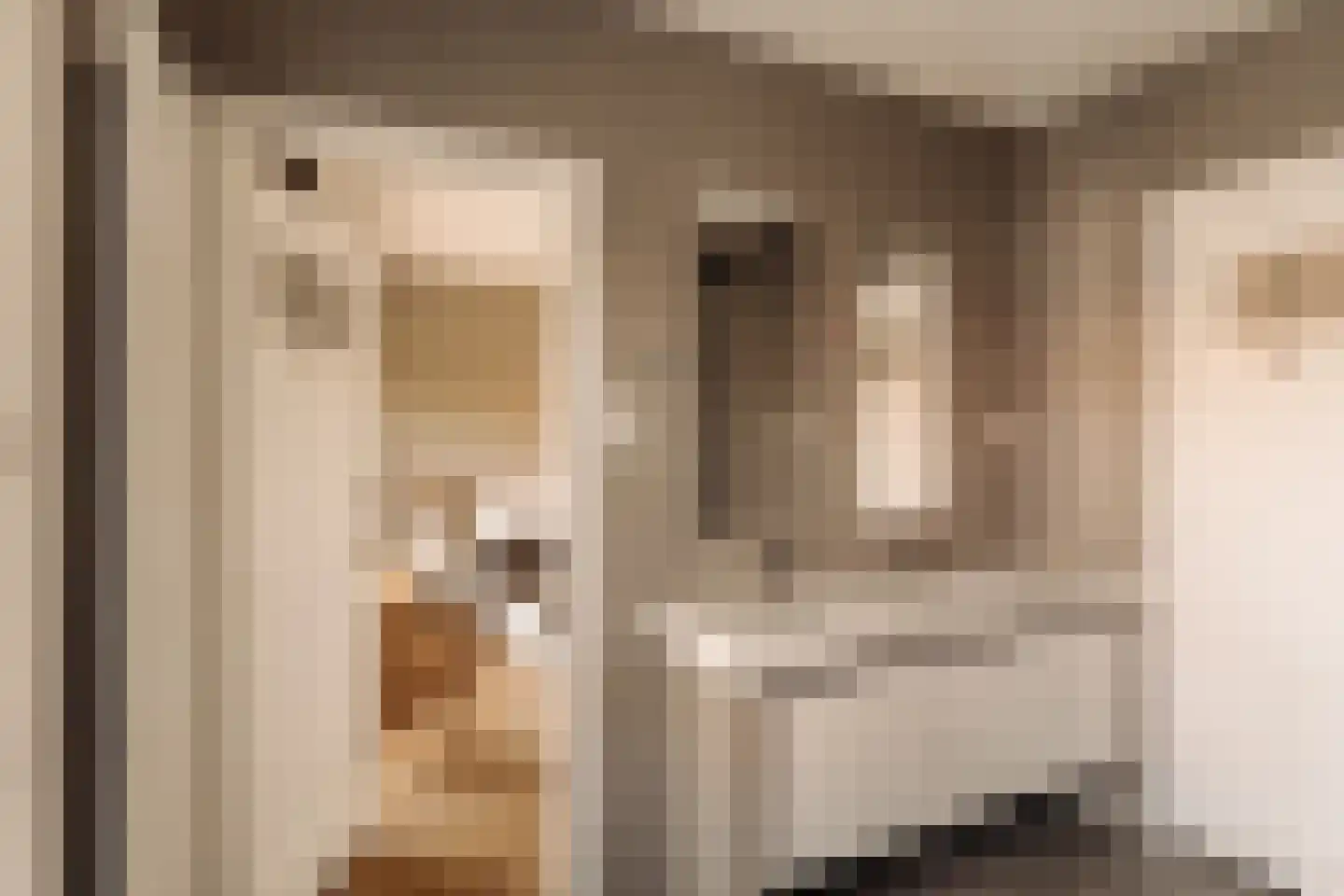 Lange Kerkdam 25 Wassenaar thumbnail 34