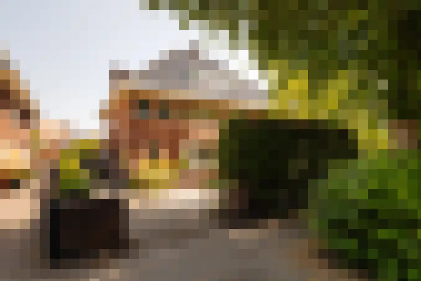 Lange Kerkdam 25 Wassenaar thumbnail 4