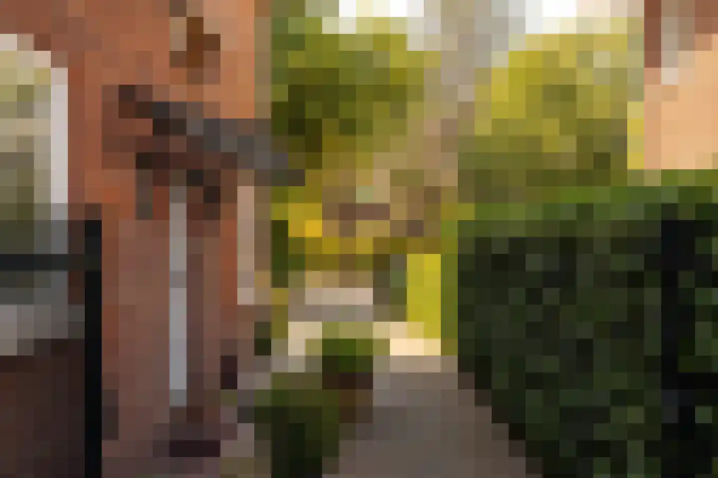 Lange Kerkdam 25 Wassenaar thumbnail 45