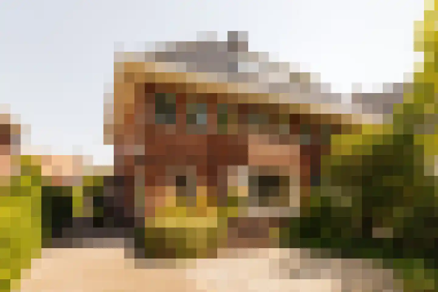 Lange Kerkdam 25 Wassenaar thumbnail 46