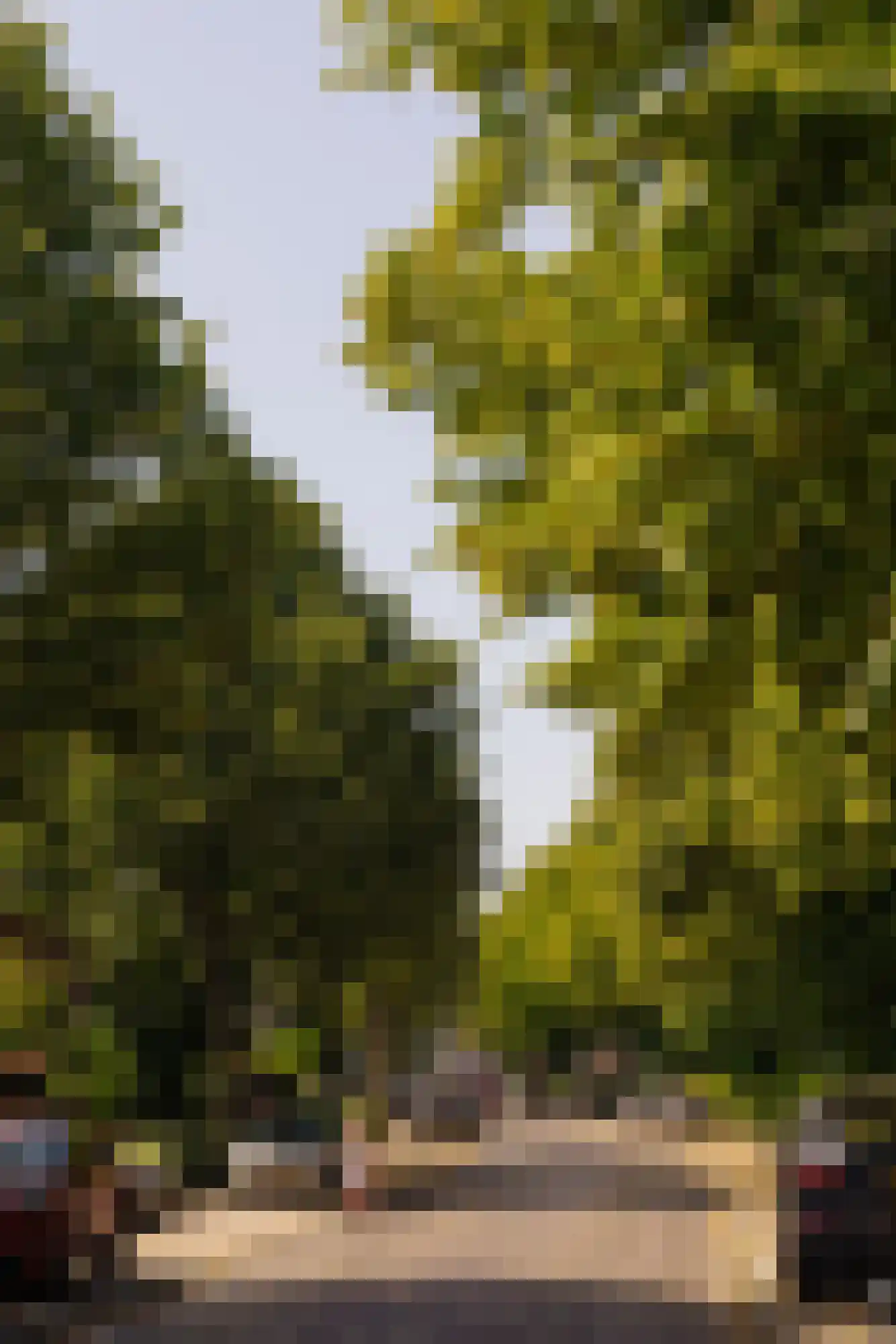 Lange Kerkdam 25 Wassenaar thumbnail 47