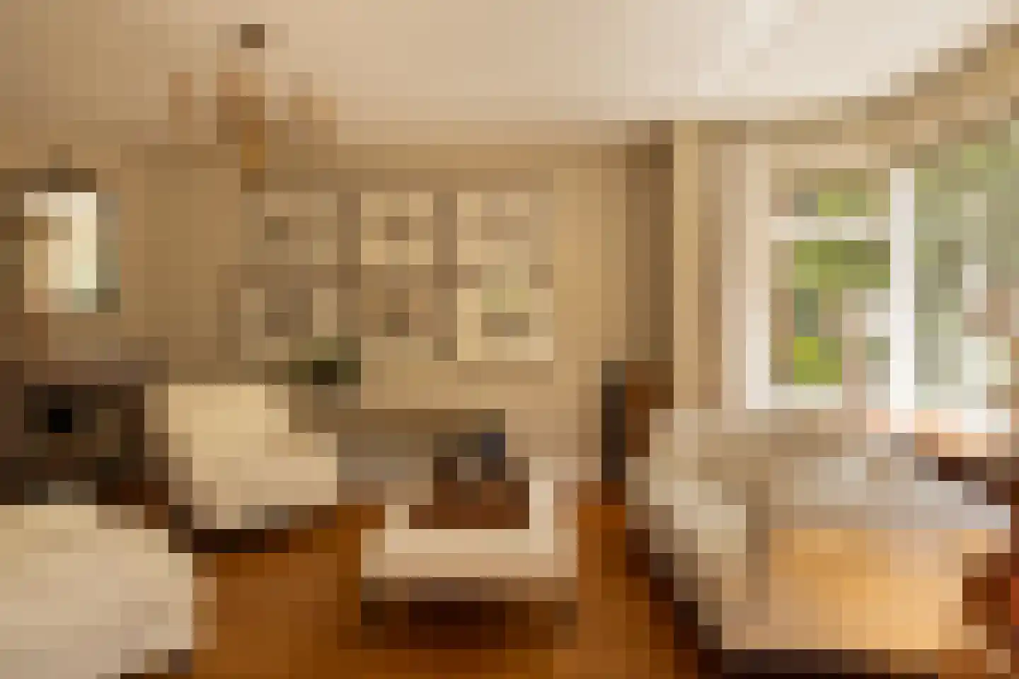 Lange Kerkdam 25 Wassenaar thumbnail 7