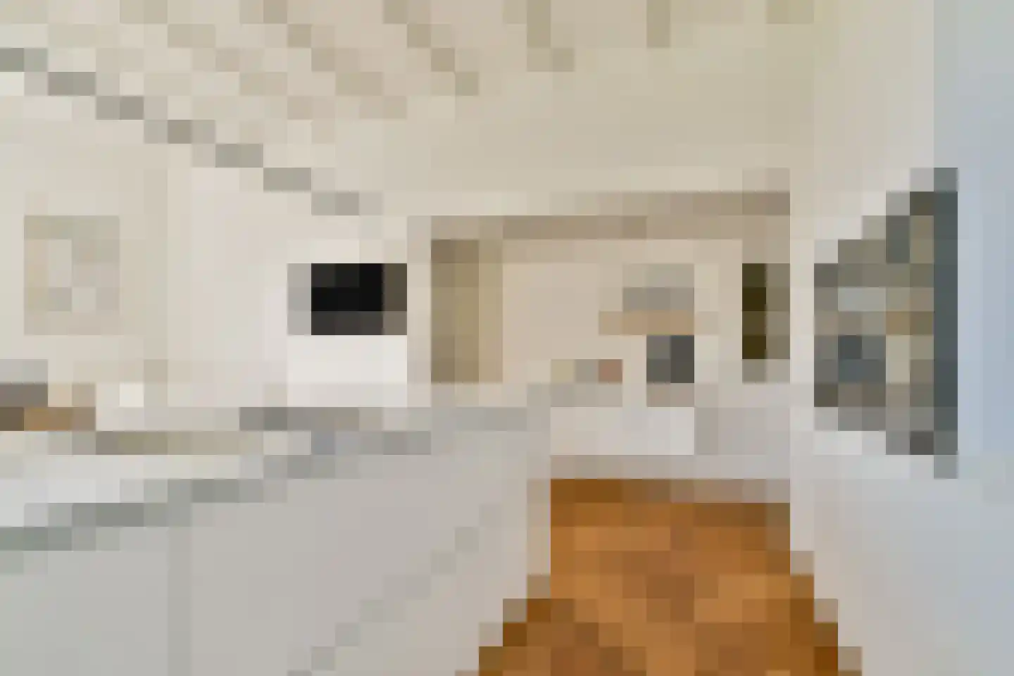 Lange Kerkdam 89 Wassenaar thumbnail 14