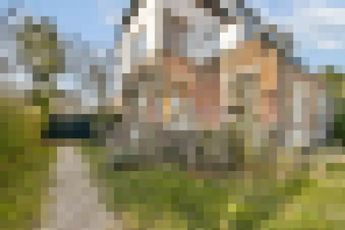 Lange Kerkdam 89 Wassenaar thumbnail 20