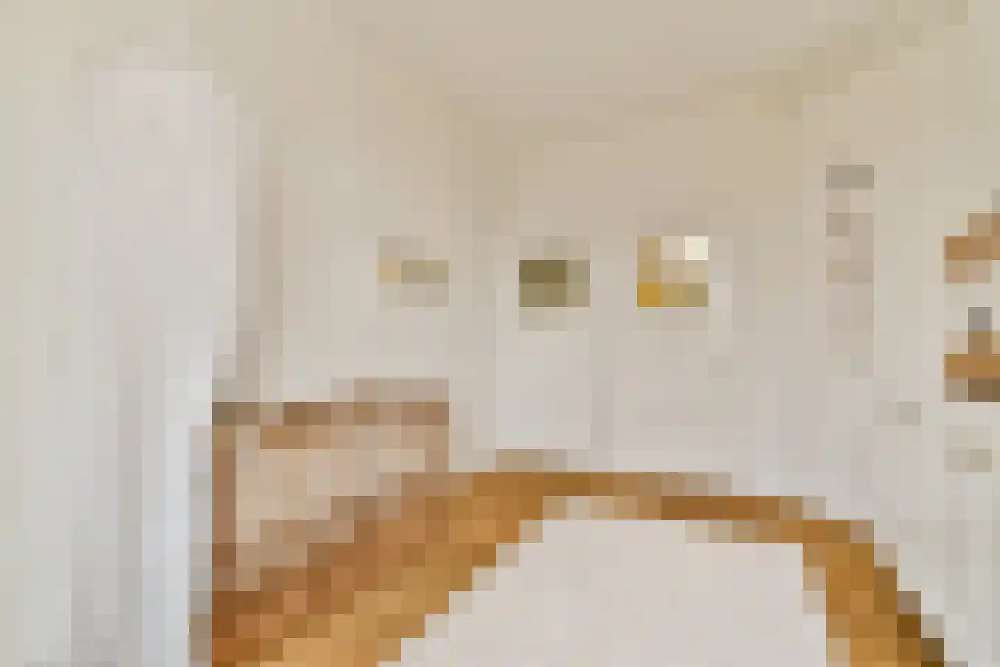 Lange Kerkdam 89 Wassenaar thumbnail 28