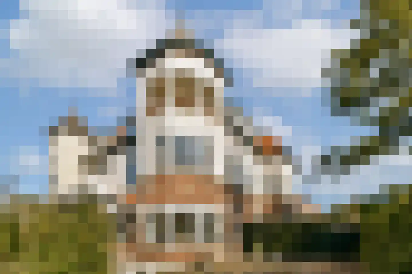 Lange Kerkdam 89 Wassenaar thumbnail 4