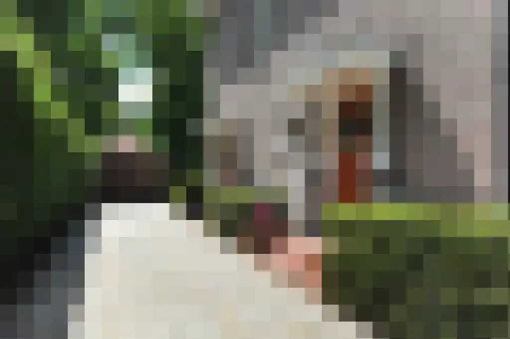 Lange Kerkdam 94 Wassenaar thumbnail 38