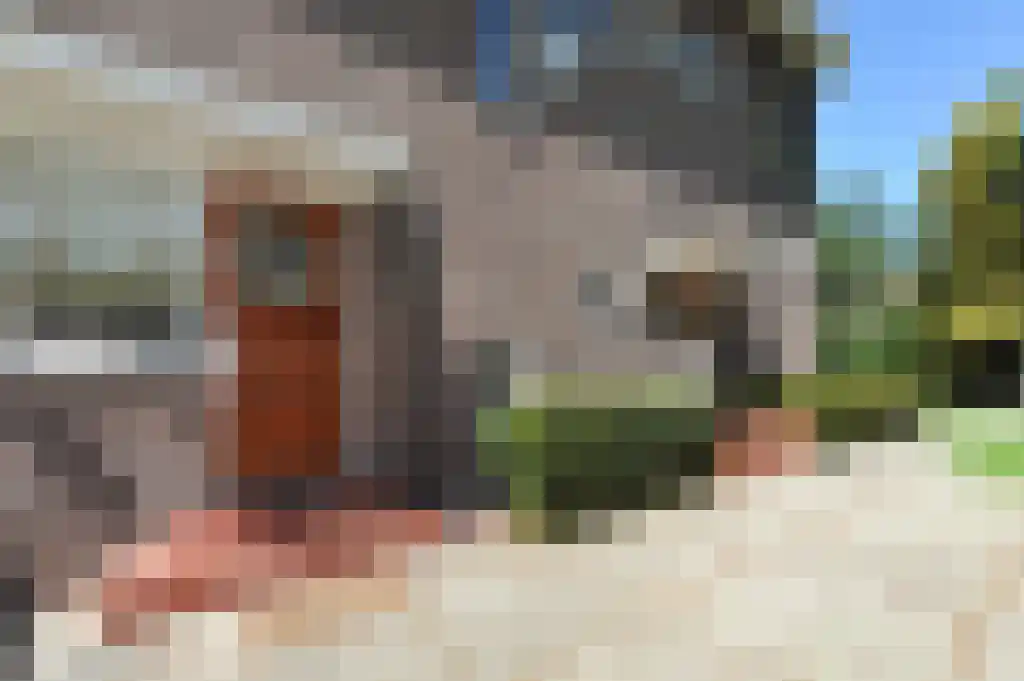 Lange Kerkdam 94 Wassenaar thumbnail 40