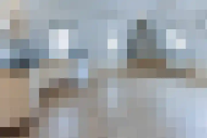 Lange Kerkstraat 18 B Montfoort thumbnail 9