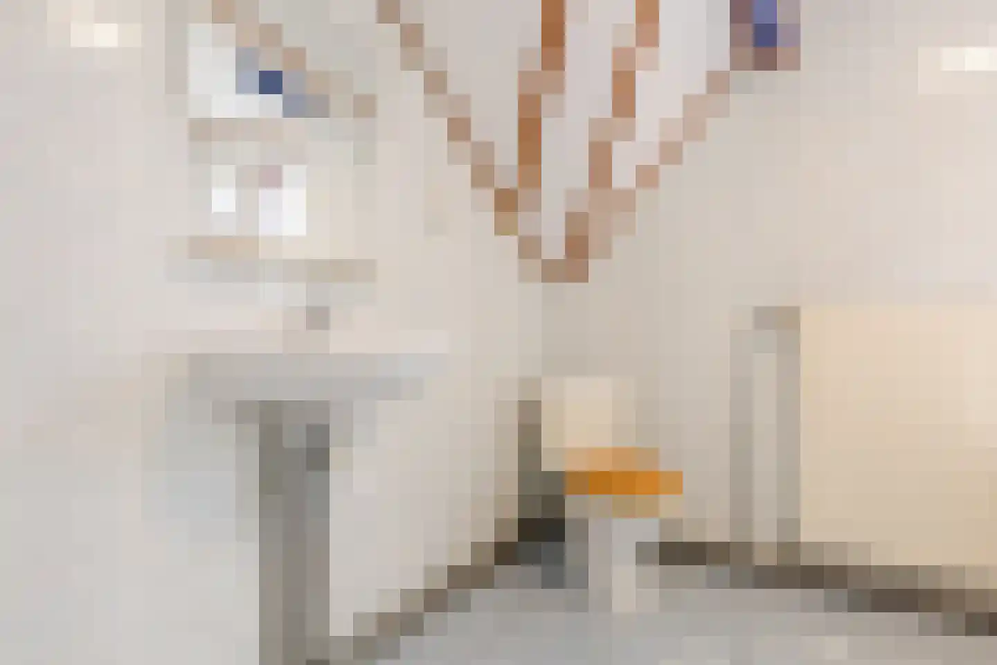 Lange Kerkstraat 25 Terneuzen thumbnail 35
